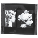 Athéna des Phidias (440) ; Aphrodite aus Boston