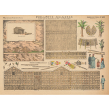 Moyennes constructions : paillotte malgache : d'après type de l'exposition de 1900 : au Trocadéro : N° 907