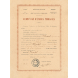 Certificat d'études primaires. 