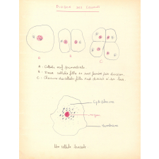 Cahier de sciences naturelles : anatomie : physiologie : hygiène : 3e