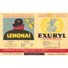 Buvard publicitaire : Lemonaï et Exuryl
