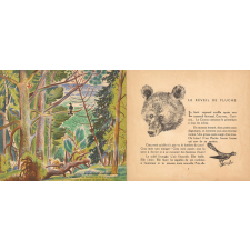 Bourru l'ours brun.