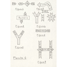 Illustration au rétroprojecteur de notions de tectonique et d'immunologie.