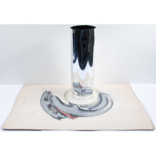 Planche d'anamorphose :  chat gris