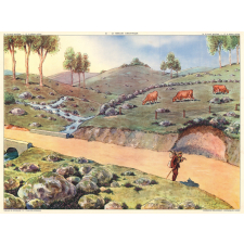 15 : le plateau calcaire