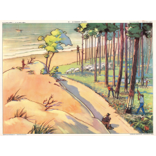 17 : le terrain argileux
