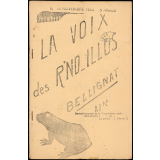Journal scolaire Freinet. La voix des R'no-Illus. N°38, novembre, 1955.