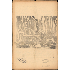 Journal scolaire Freinet. Le cerf. N°7, mai, 1954.