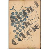 Journal scolaire Freinet. Au pied du coteau. N°3, décembre,1950.