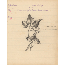 Cahier de compositions / Ecole de garçons de Méry-Corbon.