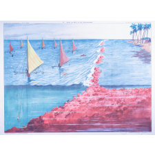 39 : dans la mer, la vie sous-marine