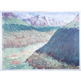 41 : la végétation de montagne