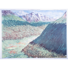 41 : la végétation de montagne
