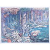 45 : la forêt vierge