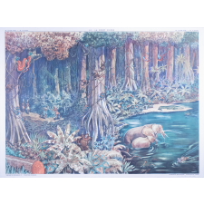 45 : la forêt vierge