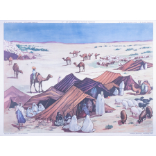 47 : un campement de pasteurs nomades