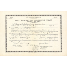Brevet de capacité pour l'enseignement primaire (Institutrices - Brevet supérieur) délivré à Jeanne Tucat. 