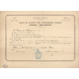 Brevet de capacité pour l'enseignement primaire (Instituteurs - Brevet élémentaire) décerné à Maxime Jules Désiré Androuin. 