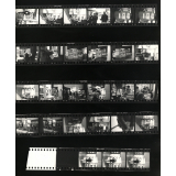 Exposition : Brochures