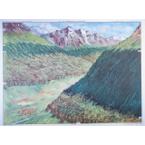 41 : la végétation de montagne