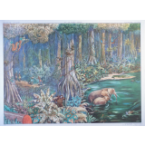 45 : la forêt vierge