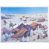 47 : un campement de pasteurs nomades