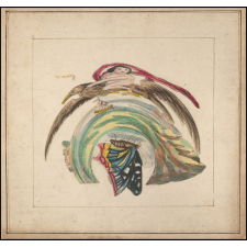 Planche d'anamorphose : homme ou enfant sur un aigle
