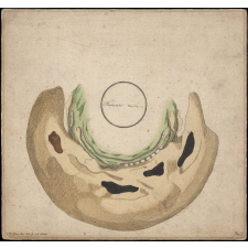 Planche d'anamorphose : Memento mori