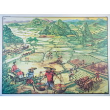 Tableaux de géographie: N°31. Dans la forêt équatoriale. / N°32. Dans la rizière.