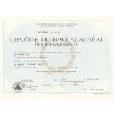Diplôme du Baccalauréat professionnel.