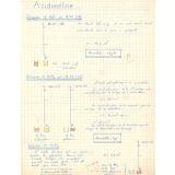 Chimie
