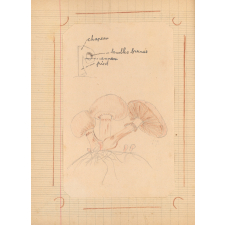 Cahier de Sciences