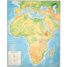 Afrique politique