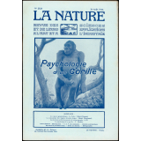 Psychologie d'un Gorille