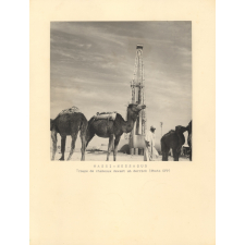 Hassi-Messaoud : Troupe de chameau devant un derrick