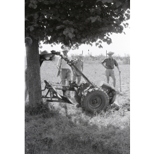 Enseignement agricole