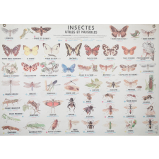 Insectes utiles et nuisibles
