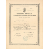 Certificat d'aptitude à l'enseignement de la Couture et la Confection des Vêtements dans les Ecoles de Filles. 