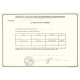 Certificat de fin d'études professionnelles secondaires. 