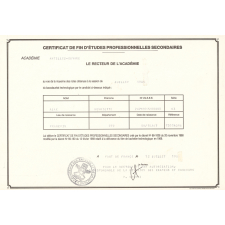 Certificat de fin d'études professionnelles secondaires. 