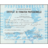 Certificat de formation professionnelle. 