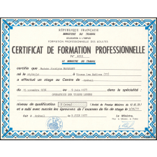 Certificat de formation professionnelle. 