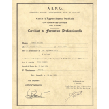 Certificat de formation professionnelle. 