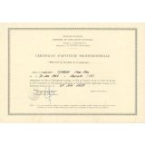 Certificat d'aptitude professionnelle. 