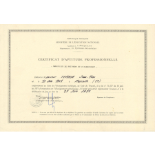 Certificat d'aptitude professionnelle. 