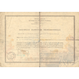 Certificat d'aptitude professionnelle. 