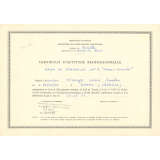 Certificat d'aptitude professionnelle. 