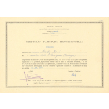 Certificat d'aptitude professionnelle. 