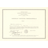 Certificat d'aptitude professionnelle. 