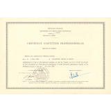 Certificat d'aptitude professionnelle. 
